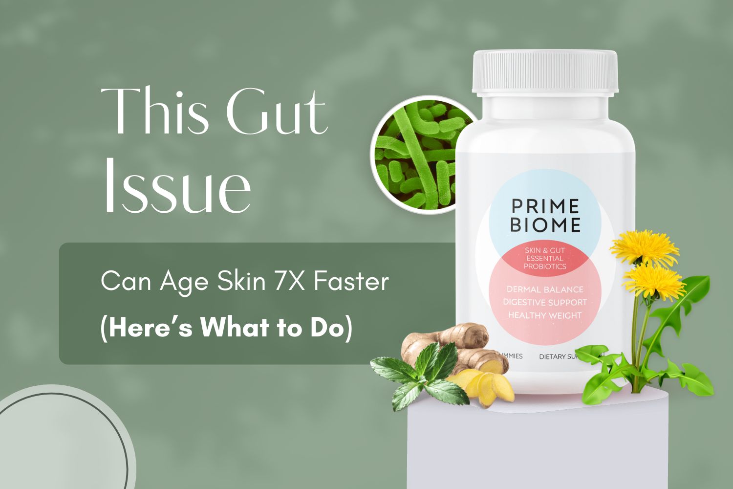 PrimeBiome Supplement - Revolutionary Gut-Skin Health Formula